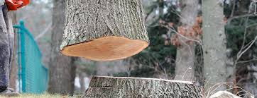 Best Firewood Processing and Delivery  in Chesilhurst, NJ