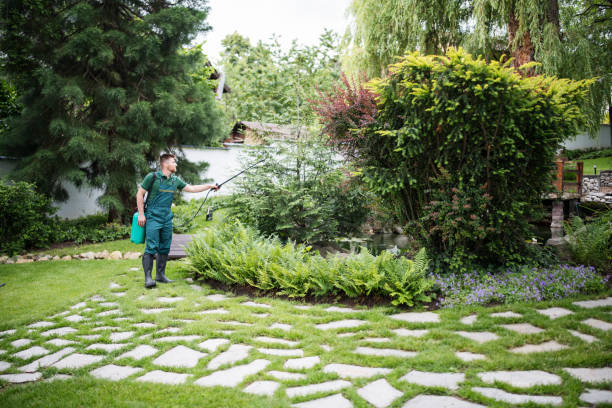 Best Pest Control for Lawns  in Chesilhurst, NJ